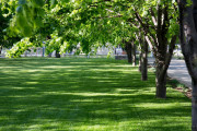 malbuhta_0_terr_10